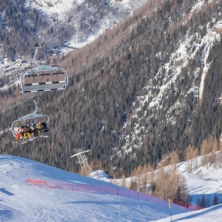 Coeur D'argentiere 506 - Happy