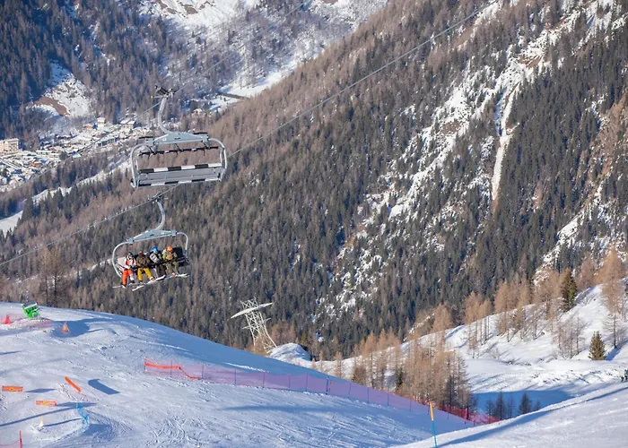 Coeur D'argentiere 506 - Happy